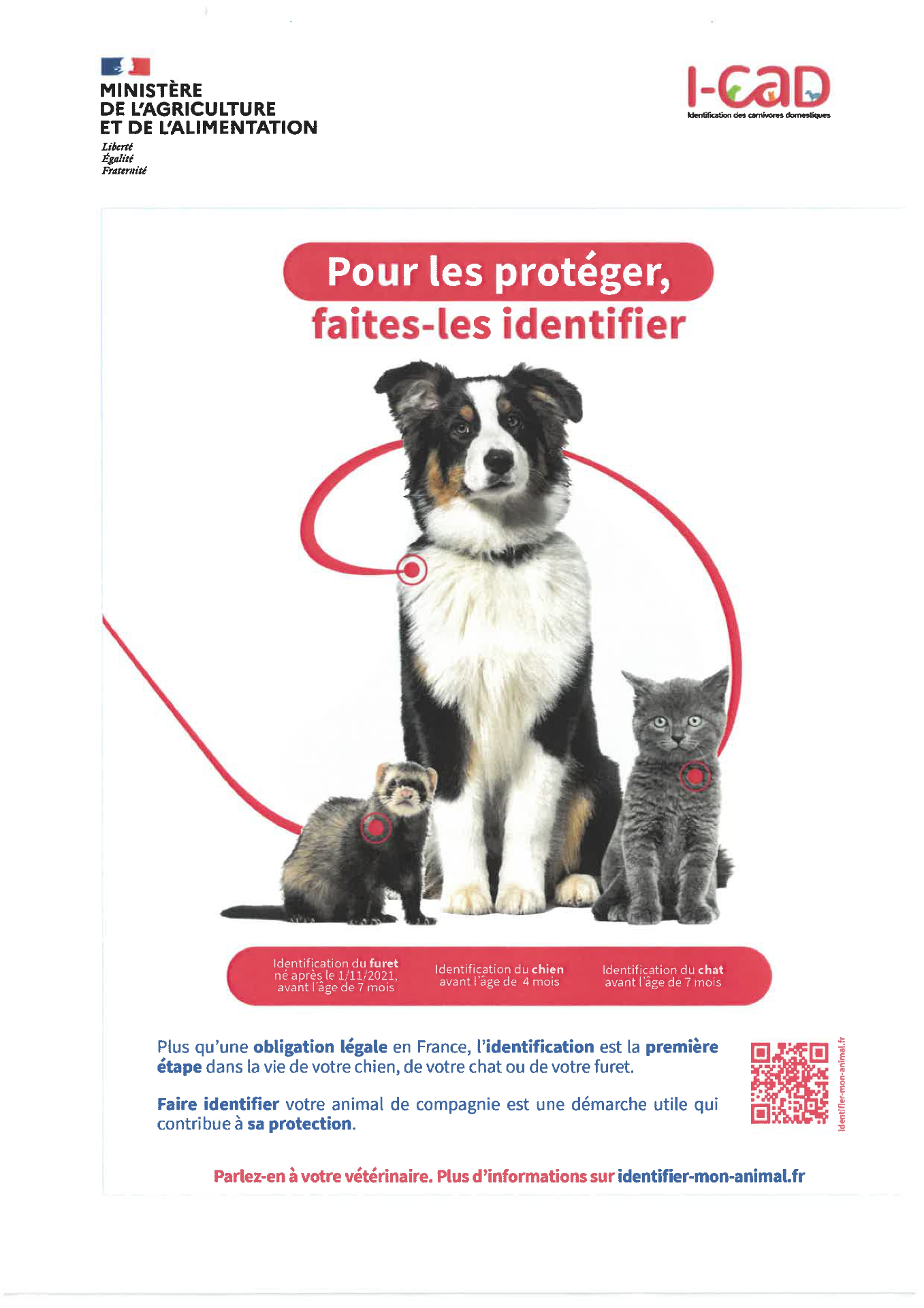 Stérilisation
